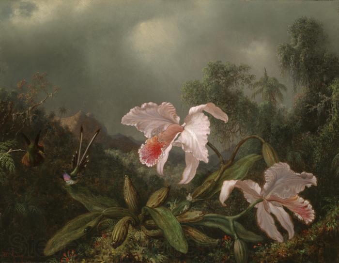 Martin Johnson Heade Jungle Orchids and Hummingbirds